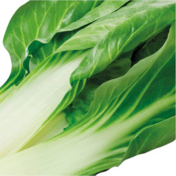 Swiss Chard