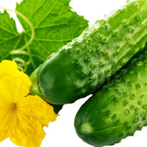 Cucumbers