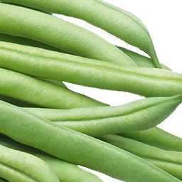 Green Beans