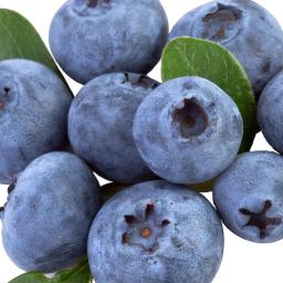 Blueberries