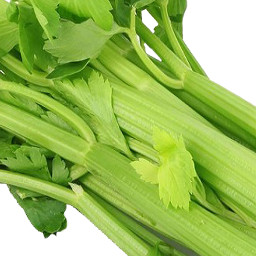 Celery