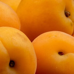 Apricots