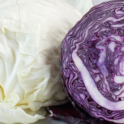 Cabbage