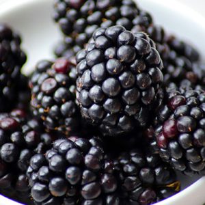 Blackberries