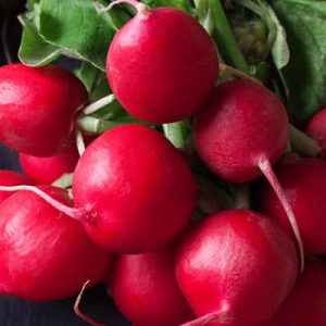 Radishes